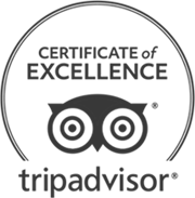 The image shows a "Certificate of Excellence" awarded by TripAdvisor, featuring their owl logo within a circular border.