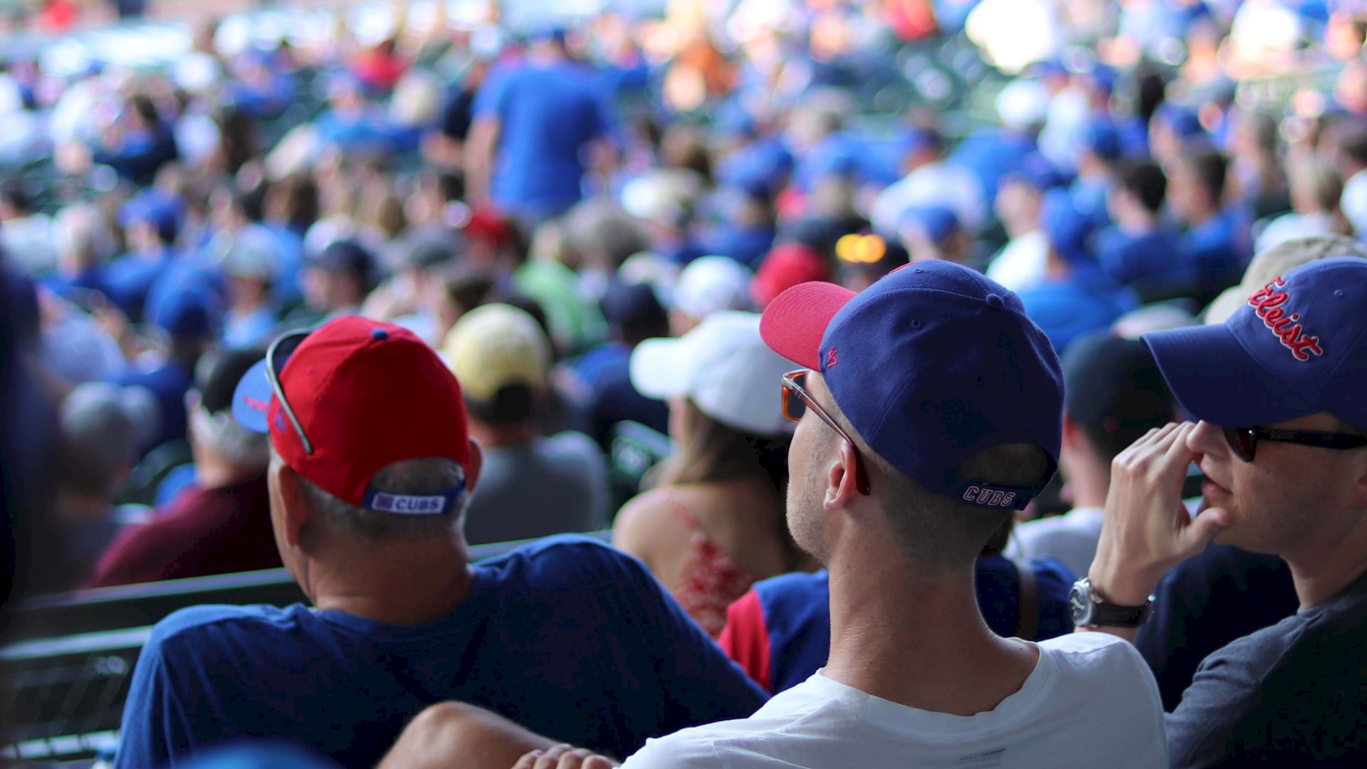 fans at wrigley field