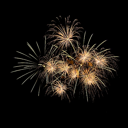 Fireworks in the sky