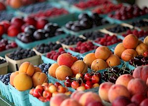 Assorted fruits and vegetables