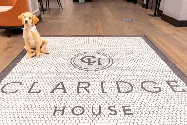 A puppy sits on a patterned floor tile with the text "CLARIDGE HOUSE" and a circular logo in the center, in an indoor setting.