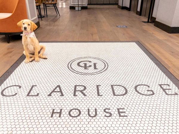 A puppy sits on a patterned floor tile with the text "CLARIDGE HOUSE" and a circular logo in the center, in an indoor setting.