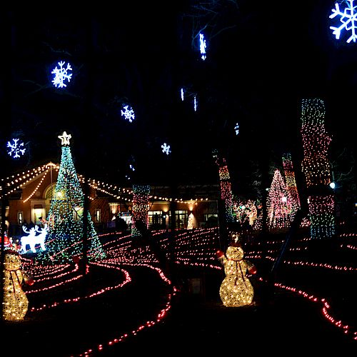 holiday lights at lincoln park zoo