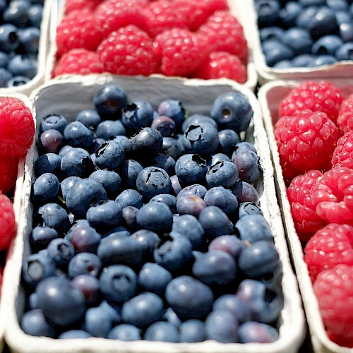 Fresh raspberries and blueberries in boxes, vibrant and ripe, ready to eat.